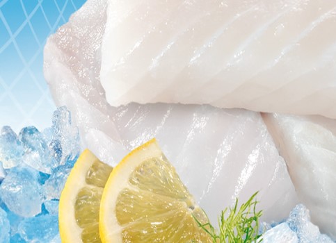 Découvrez les bienfaits du poisson pour votre santé