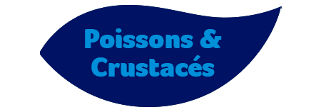 Poissons &amp; Crustacés