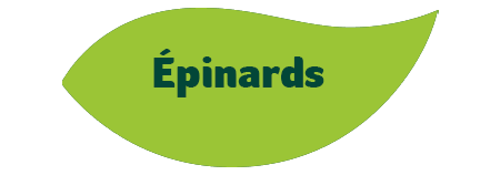 Épinards