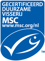 msc logo